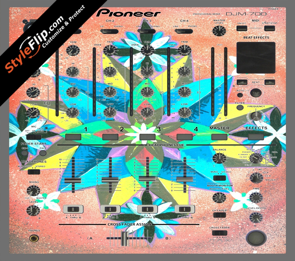 Geometric Pioneer DJM 700