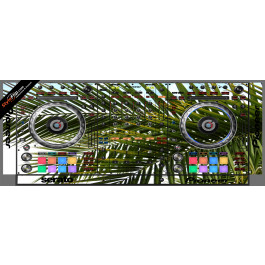 Tropicana Pioneer DDJ-SZ