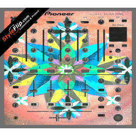 Geometric Pioneer DJM 700