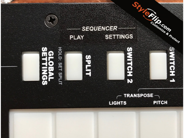 Roger Linn Linnstrument Default Label Lower Left