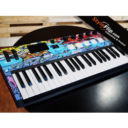 Graffiti Akai Advance 49 Custom Colorful Styleflip Skin