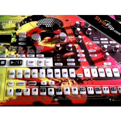Korg Electribe SX Custom Skin Glitchford Rainbow Pink Mr T