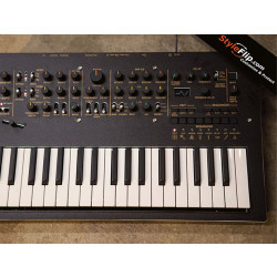 Korg Minilouge Black Clean Styleflip Skin