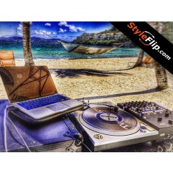 Pioneer PLX-1000 Skin Island