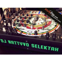 Pioneer DJM 900 NEXUS StyleFlip Custom Skin Design Colors
