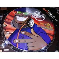 Rane Serato DJ Record Vinyl Custom Skin Design DJ Shado Cartoon