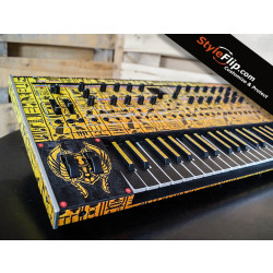 Roland Jupiter XM Custom Skins Hieroglyphs Angled