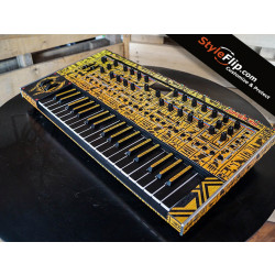 Roland Jupiter XM Custom Skins Hieroglyphs Side 3