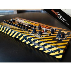 Roland TR-08 Custom Skins Hazard